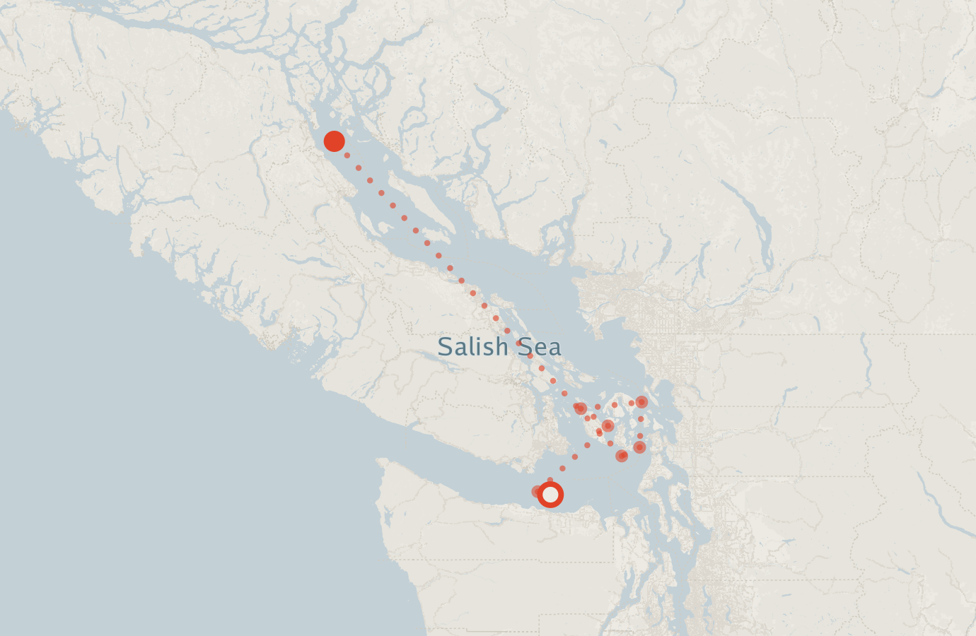 Activity map — real sighting points on an OpenStreetMap basemap