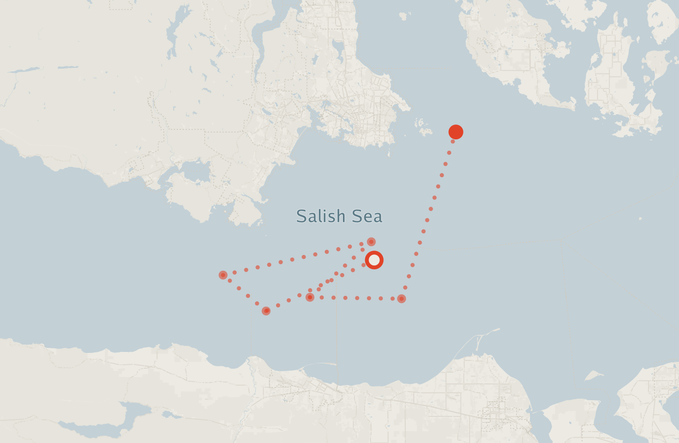 Activity map — real sighting points on an OpenStreetMap basemap
