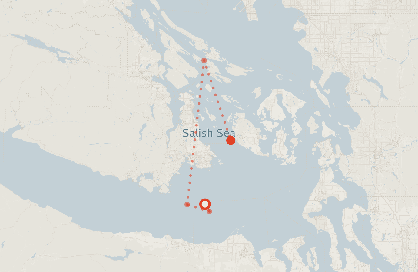 Activity map — real sighting points on an OpenStreetMap basemap