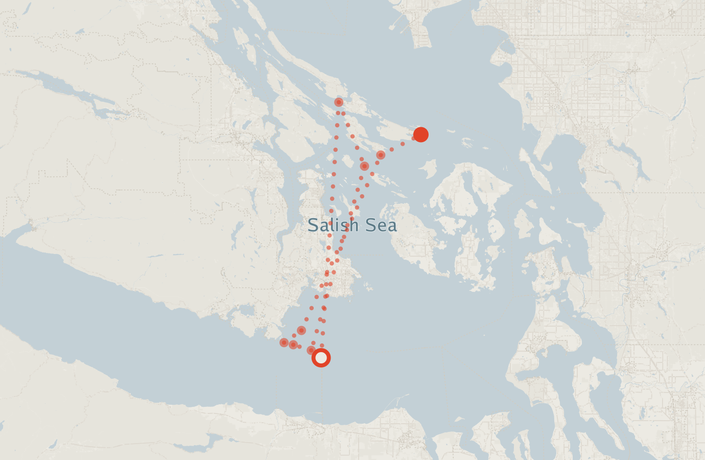Activity map — real sighting points on an OpenStreetMap basemap