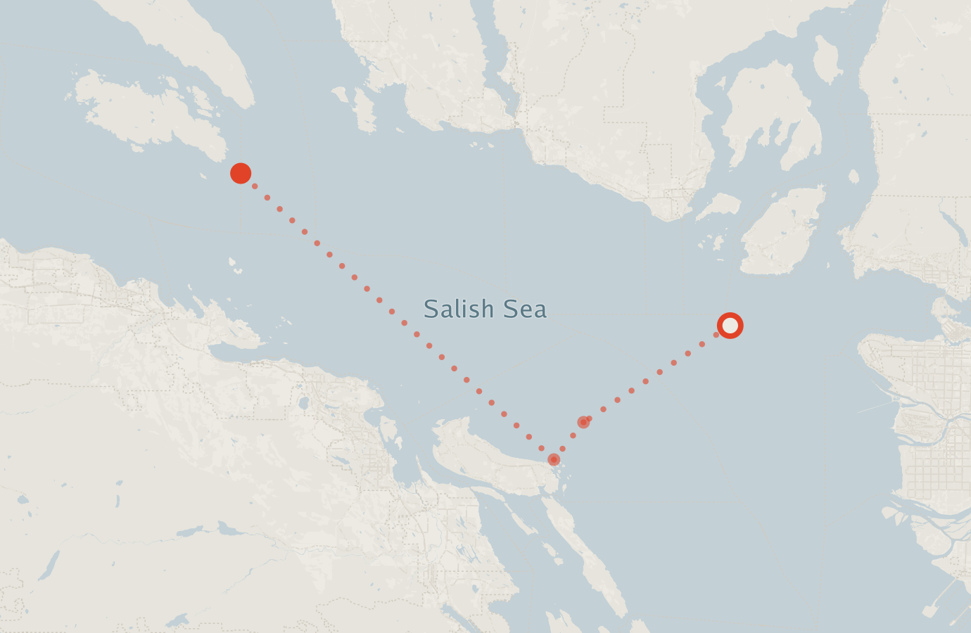 Activity map — real sighting points on an OpenStreetMap basemap