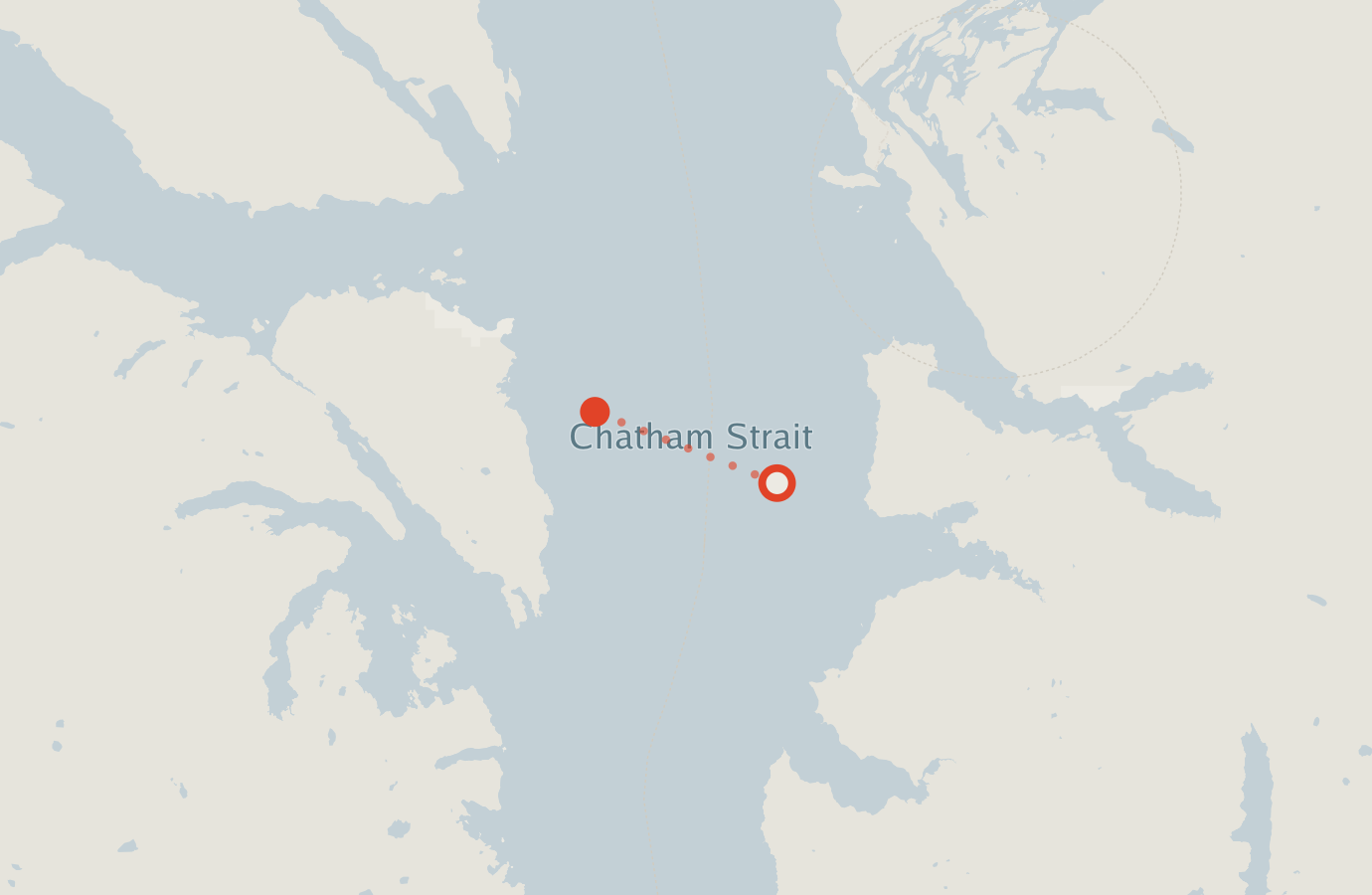 Activity map — real sighting points on an OpenStreetMap basemap