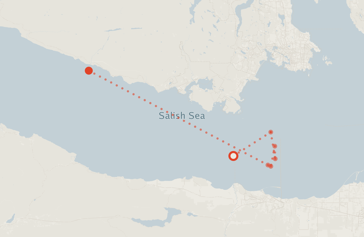 Activity map — real sighting points on an OpenStreetMap basemap