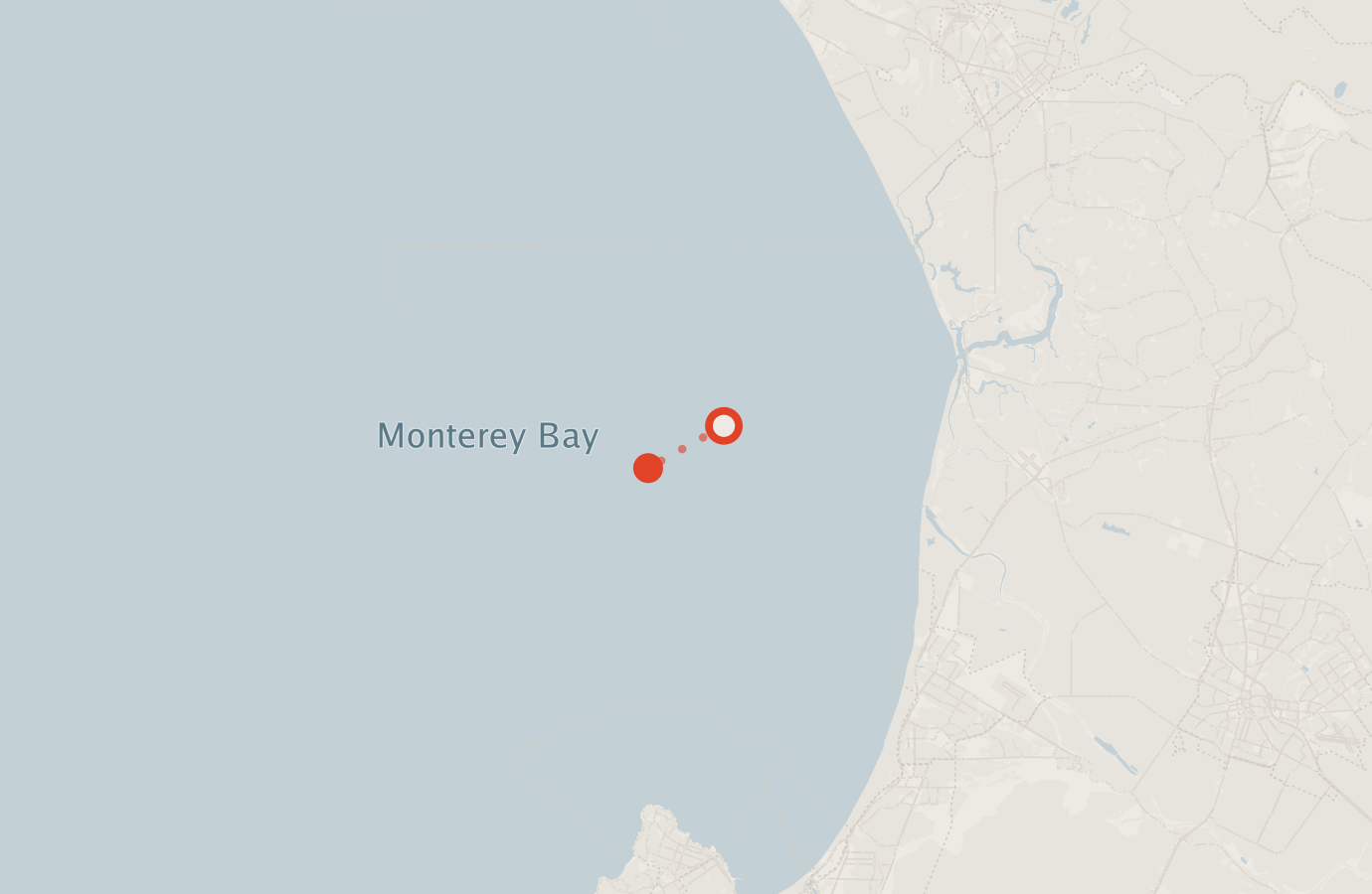 Activity map — real sighting points on an OpenStreetMap basemap