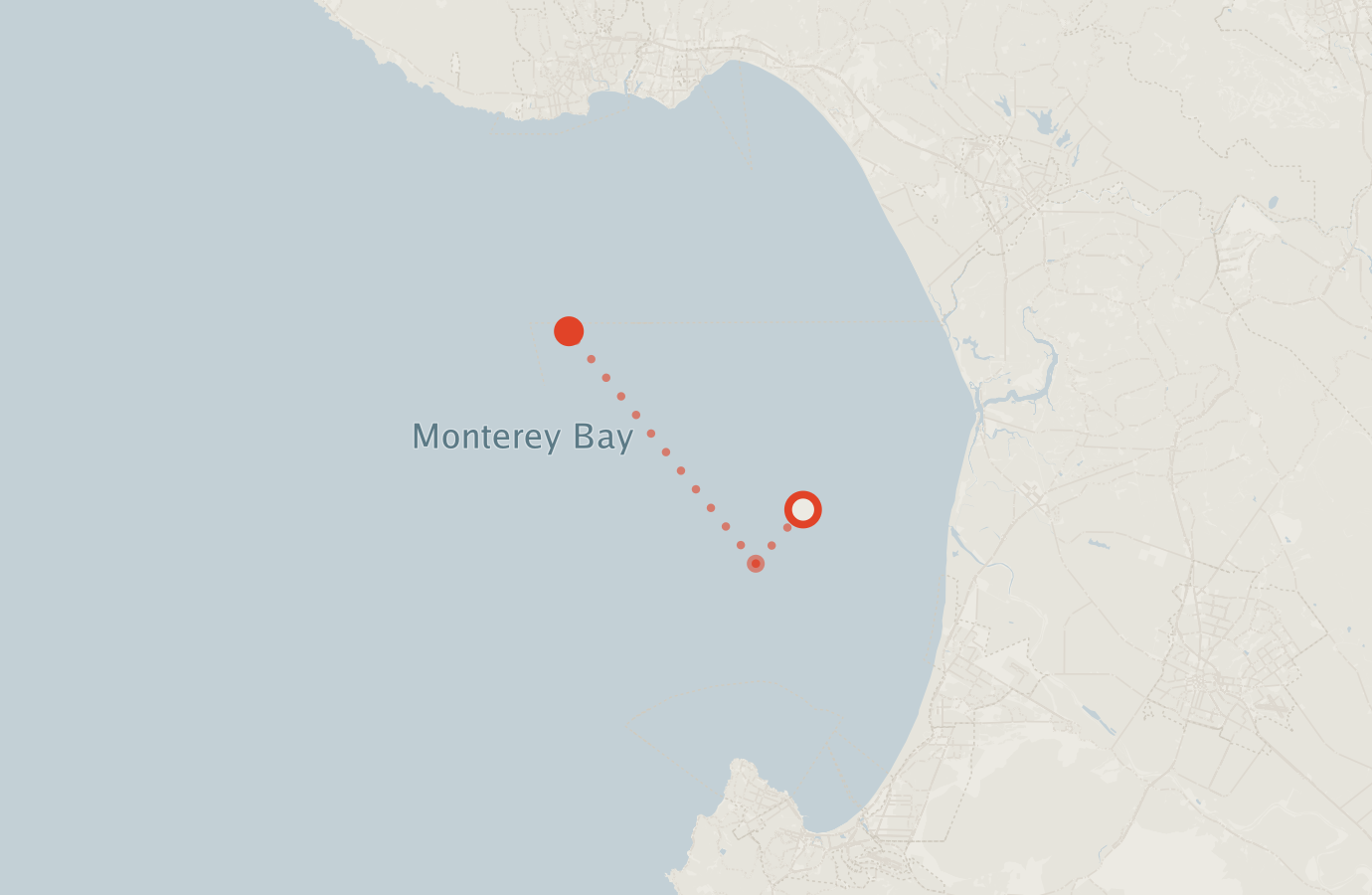 Activity map — real sighting points on an OpenStreetMap basemap