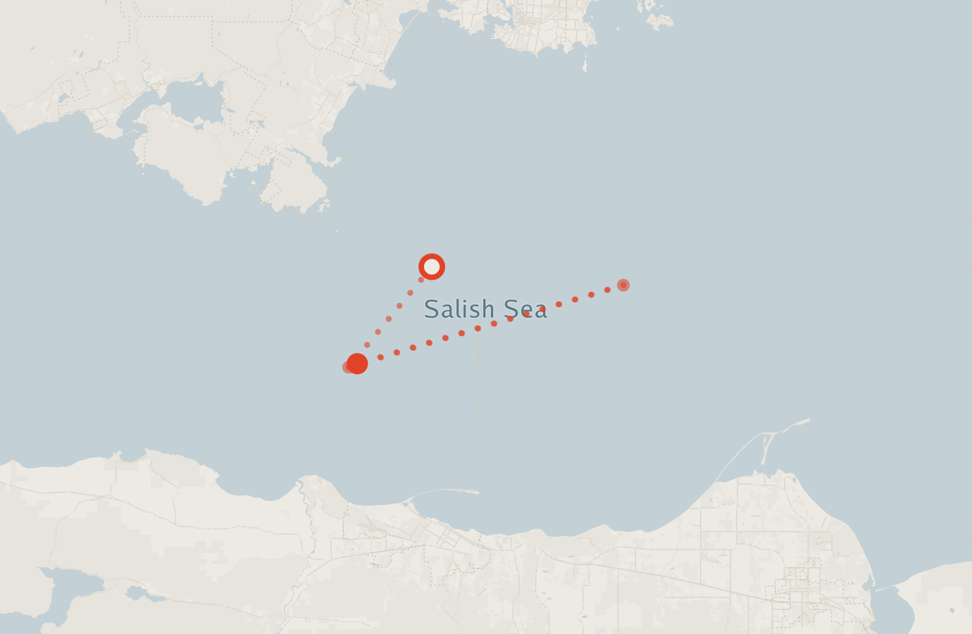 Activity map — real sighting points on an OpenStreetMap basemap