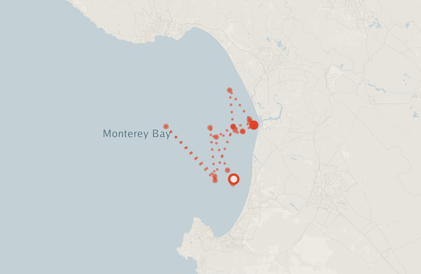 Activity map — real sighting points on an OpenStreetMap basemap