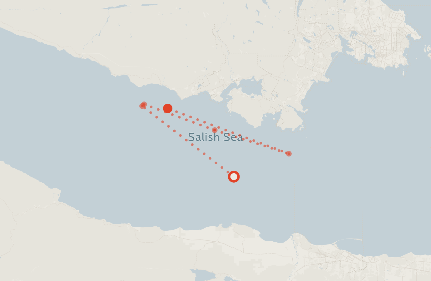 Activity map — real sighting points on an OpenStreetMap basemap