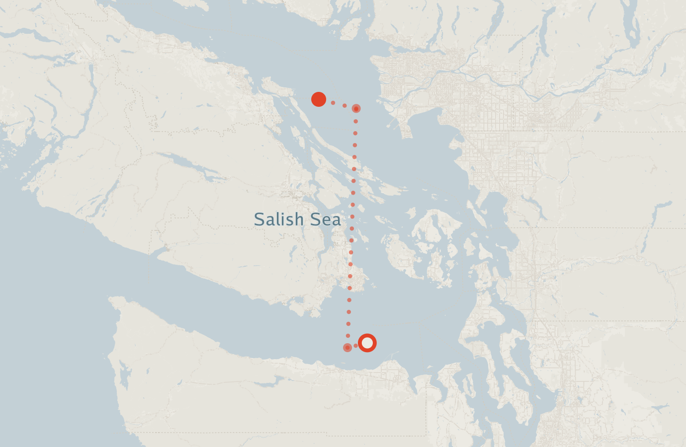 Activity map — real sighting points on an OpenStreetMap basemap