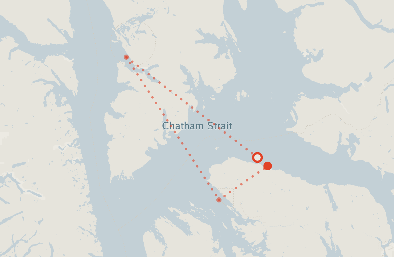 Activity map — real sighting points on an OpenStreetMap basemap