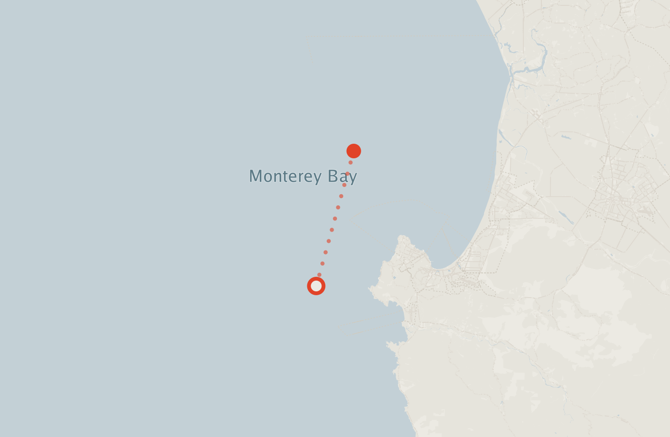 Activity map — real sighting points on an OpenStreetMap basemap