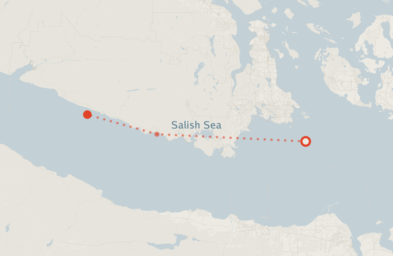 Activity map — real sighting points on an OpenStreetMap basemap