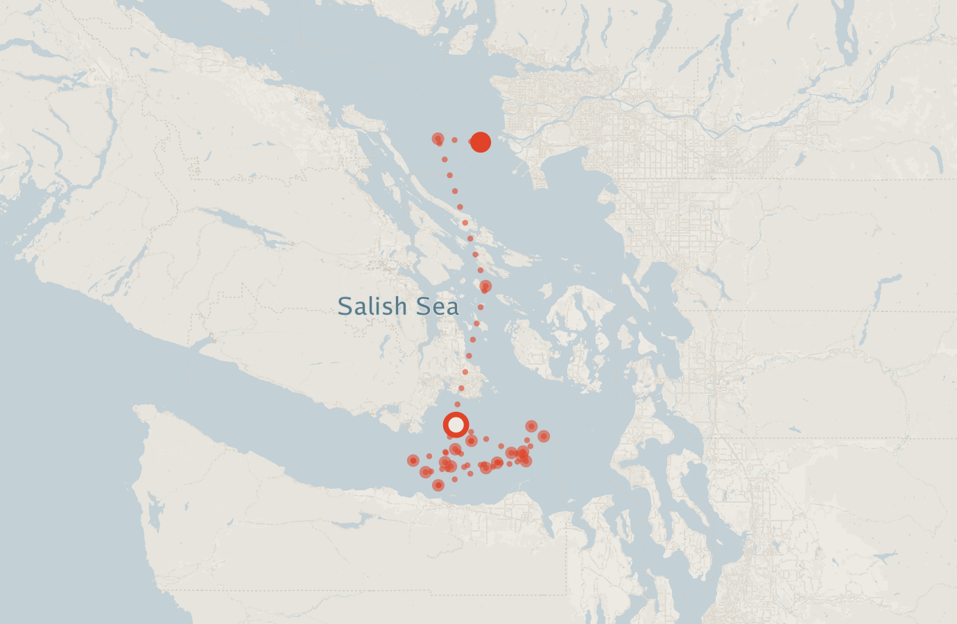 Activity map — real sighting points on an OpenStreetMap basemap