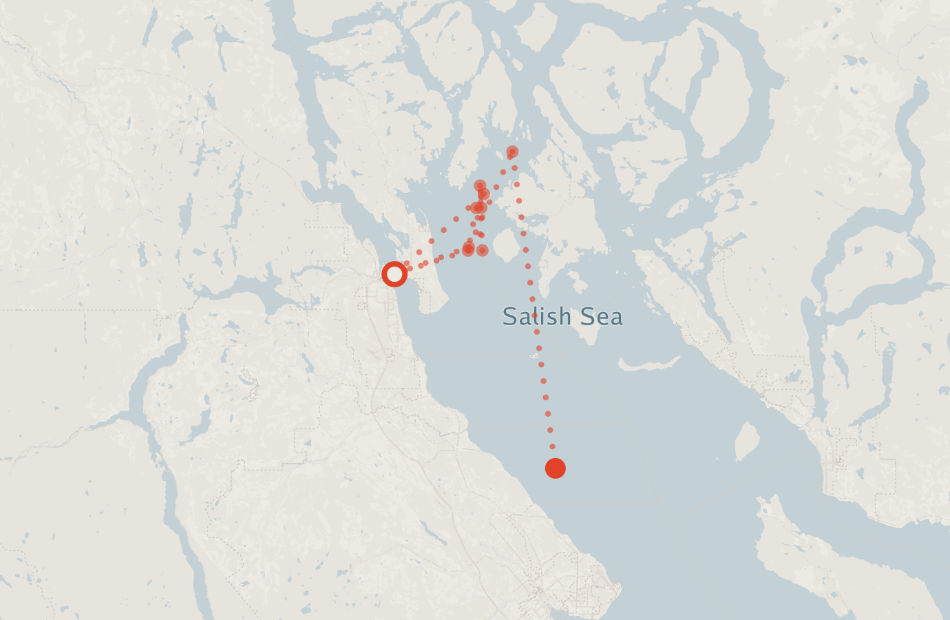 Activity map — real sighting points on an OpenStreetMap basemap