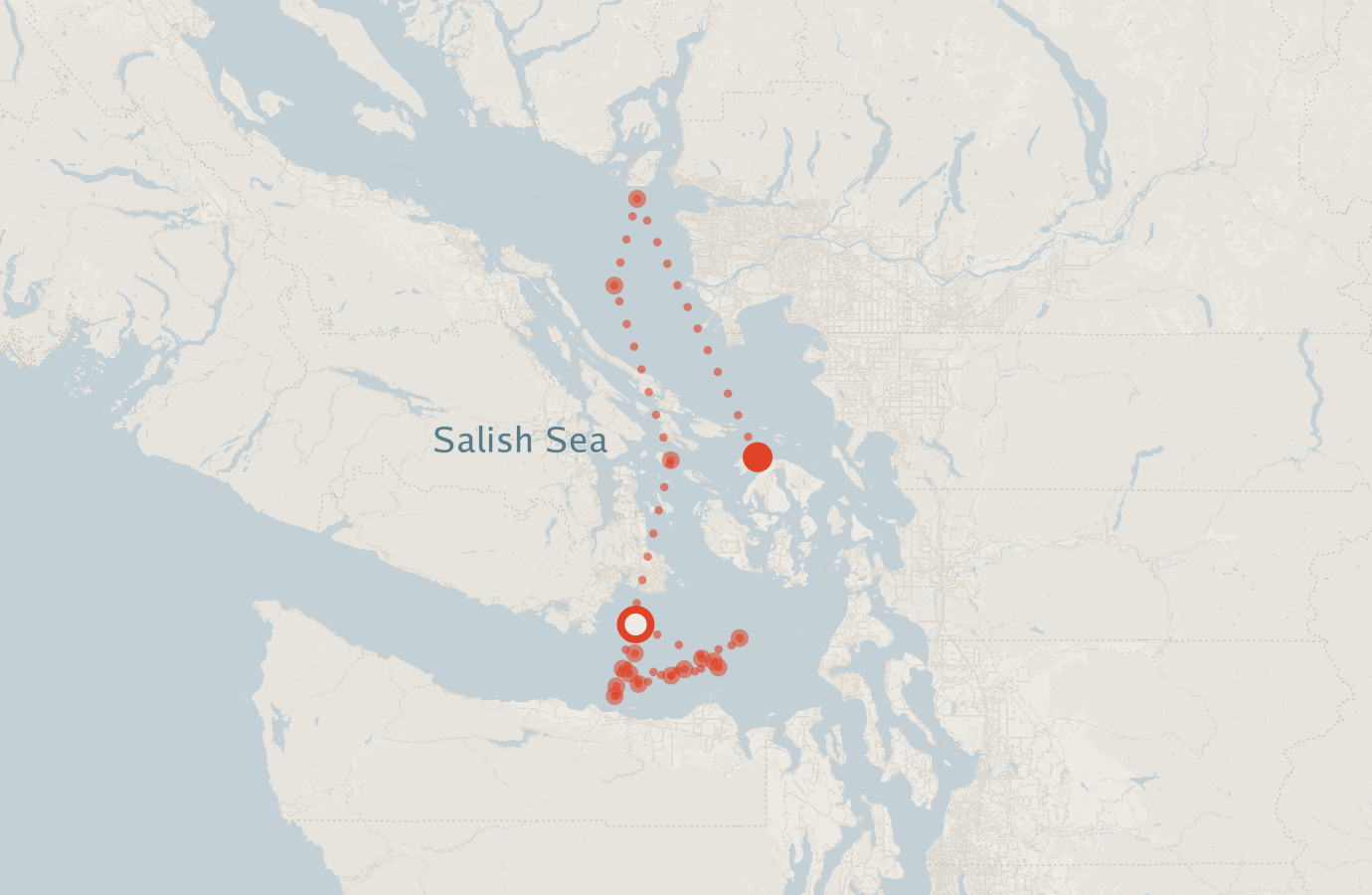 Activity map — real sighting points on an OpenStreetMap basemap
