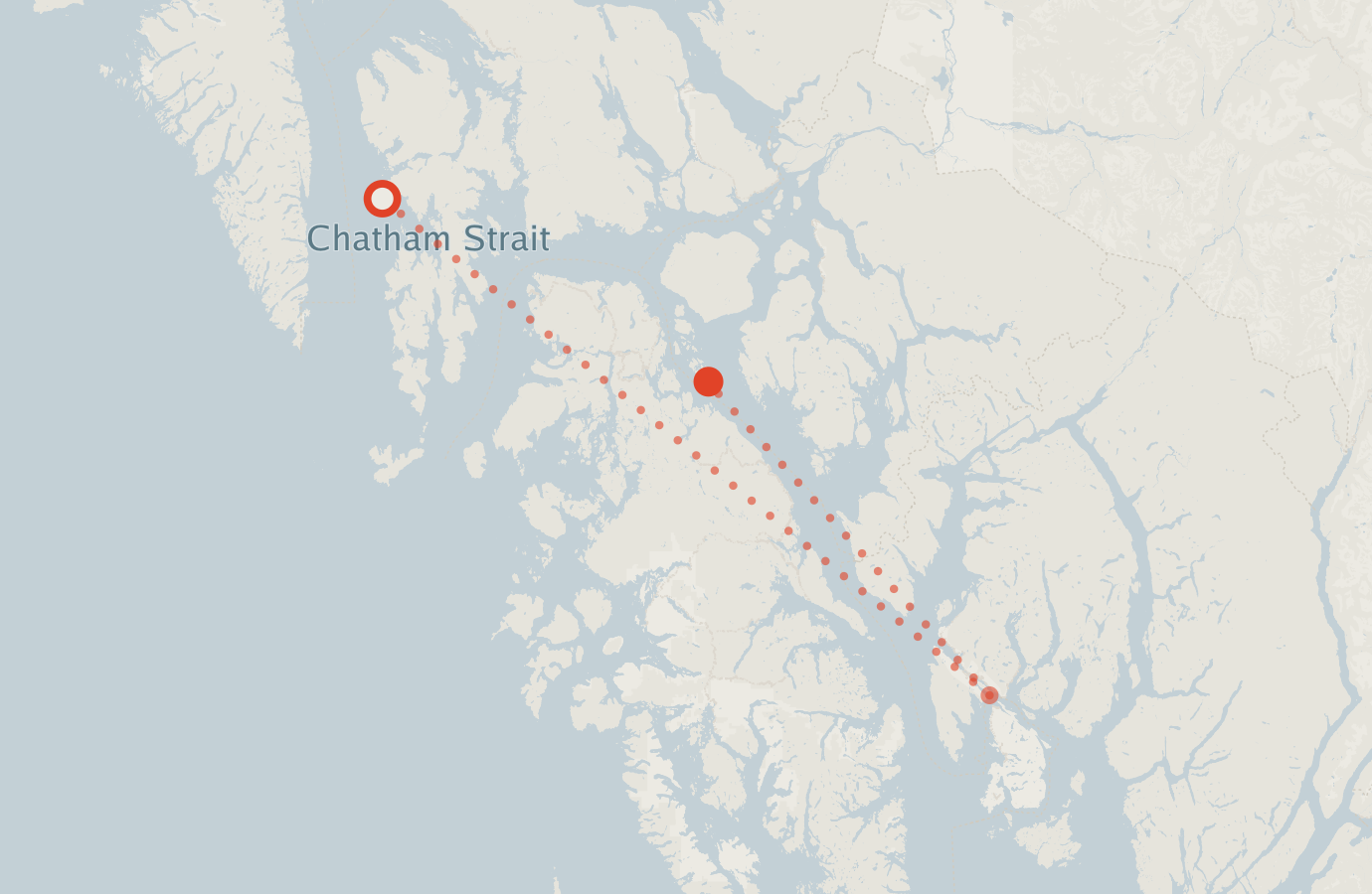 Activity map — real sighting points on an OpenStreetMap basemap