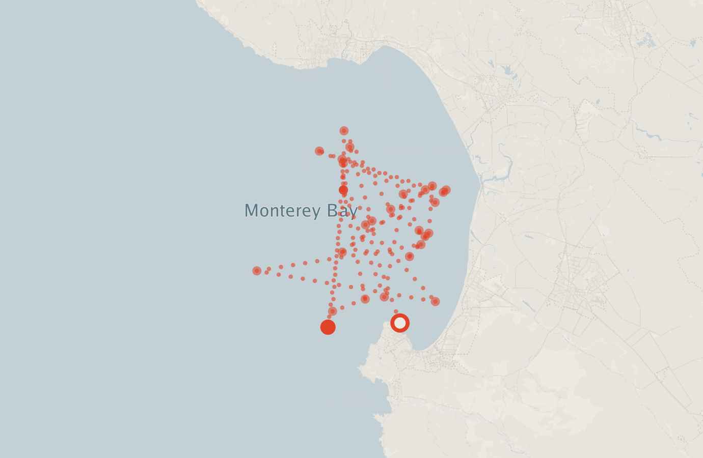 Activity map — real sighting points on an OpenStreetMap basemap