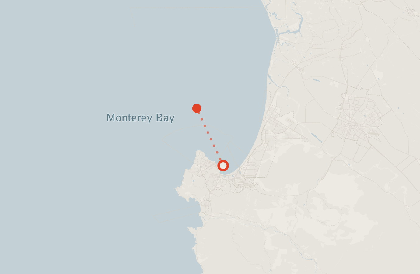 Activity map — real sighting points on an OpenStreetMap basemap