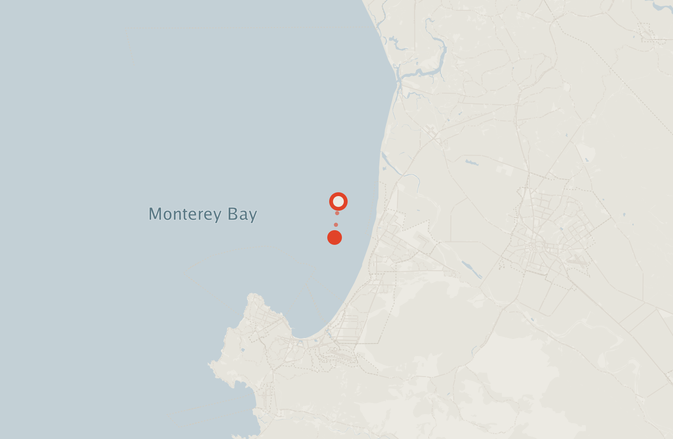 Activity map — real sighting points on an OpenStreetMap basemap