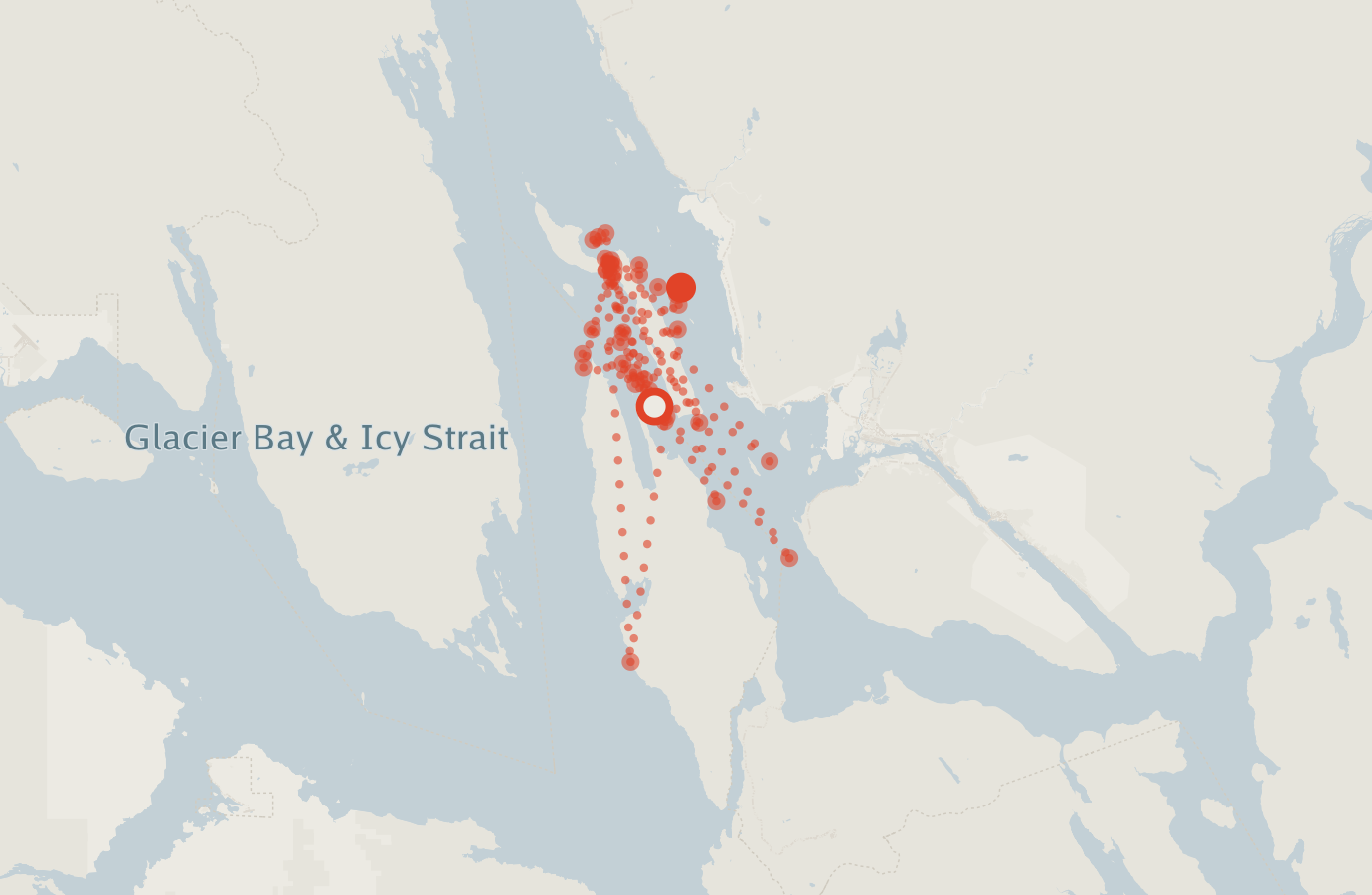 Activity map — real sighting points on an OpenStreetMap basemap