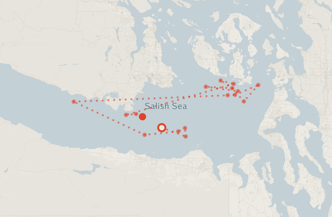 Activity map — real sighting points on an OpenStreetMap basemap