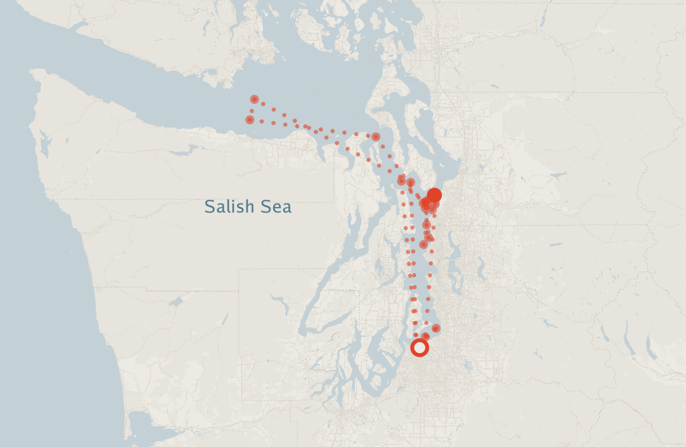 Activity map — real sighting points on an OpenStreetMap basemap