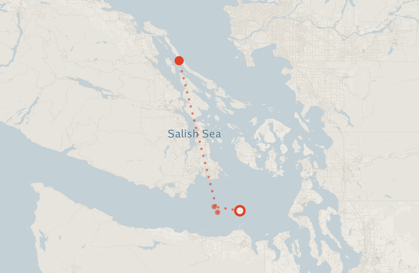 Activity map — real sighting points on an OpenStreetMap basemap
