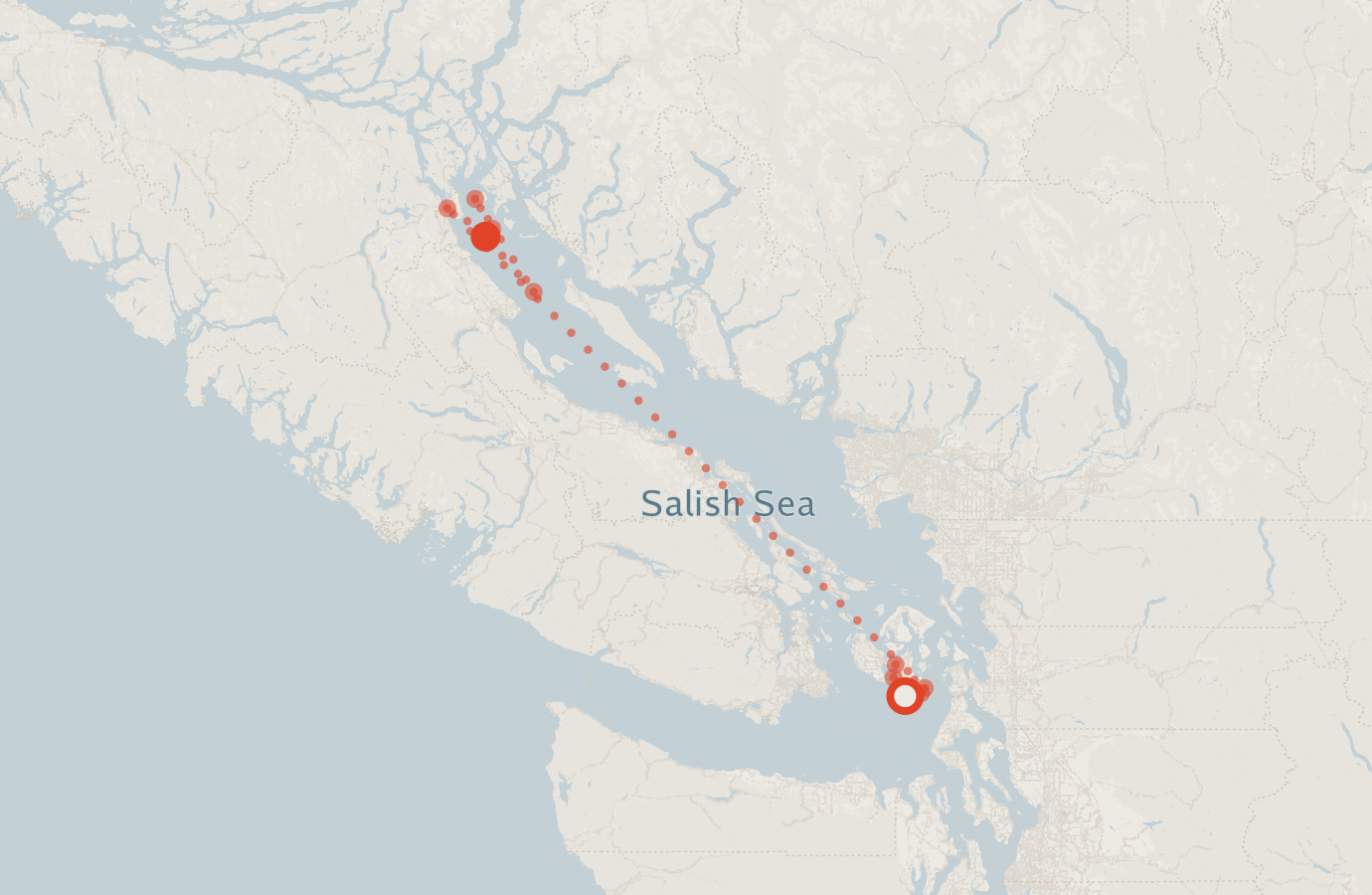 Activity map — real sighting points on an OpenStreetMap basemap