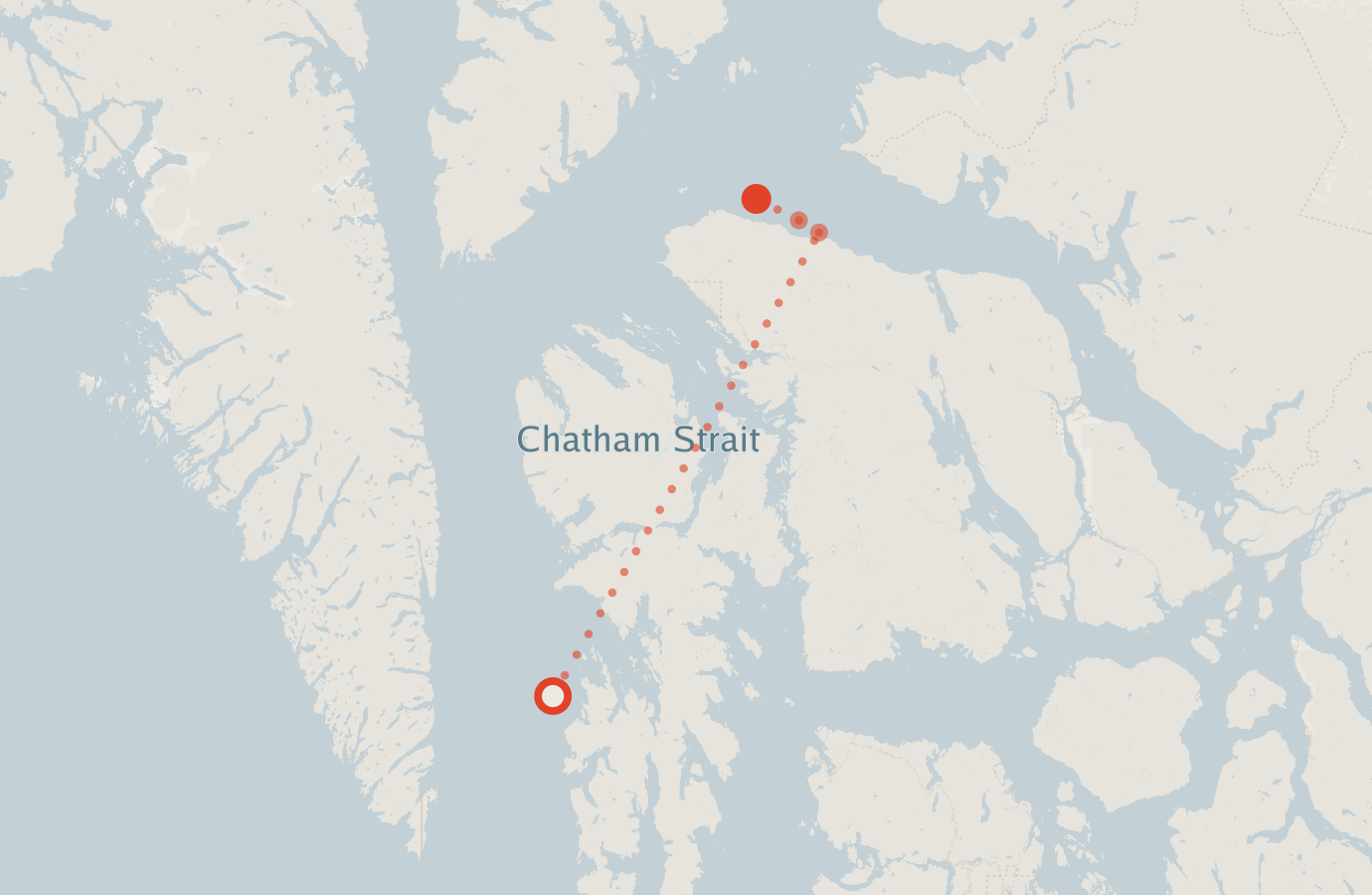 Activity map — real sighting points on an OpenStreetMap basemap