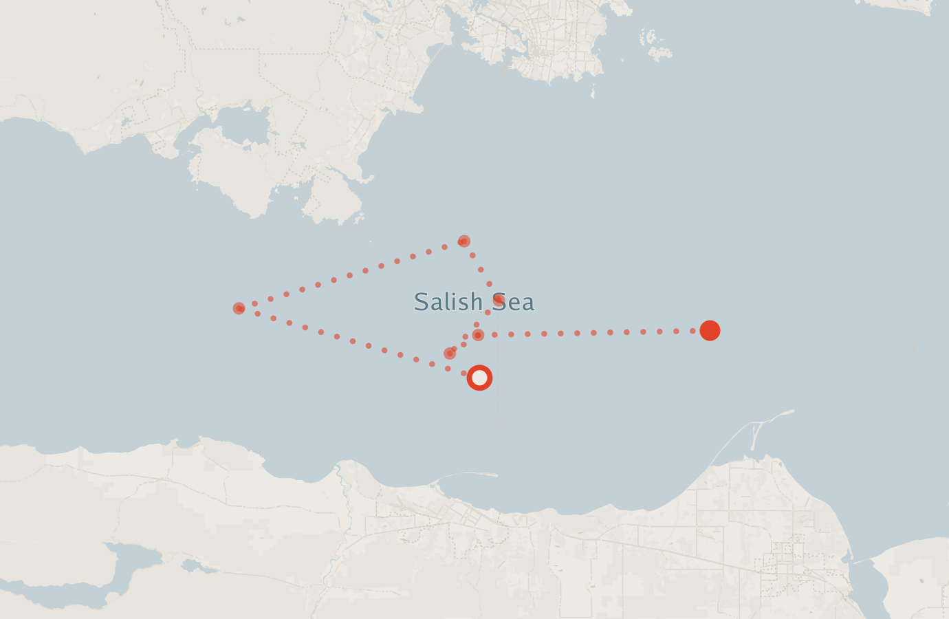 Activity map — real sighting points on an OpenStreetMap basemap