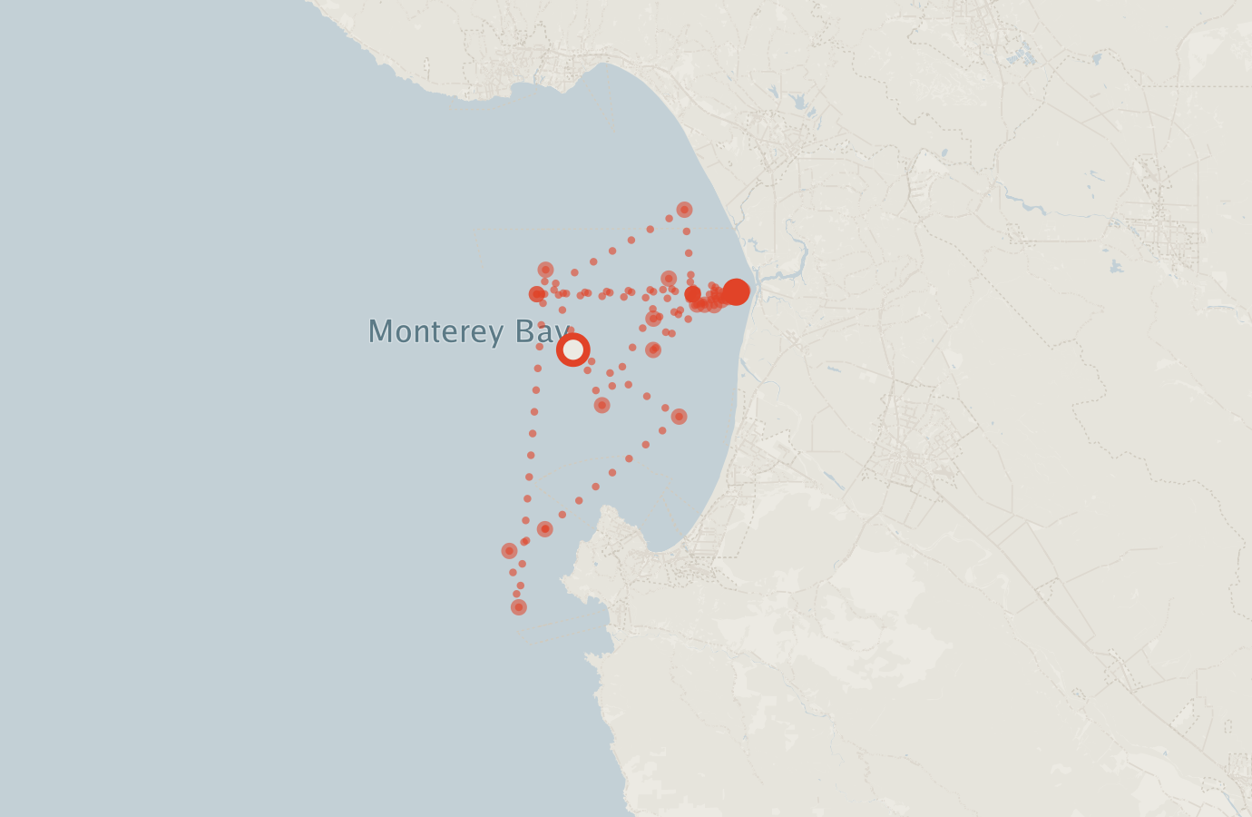 Activity map — real sighting points on an OpenStreetMap basemap