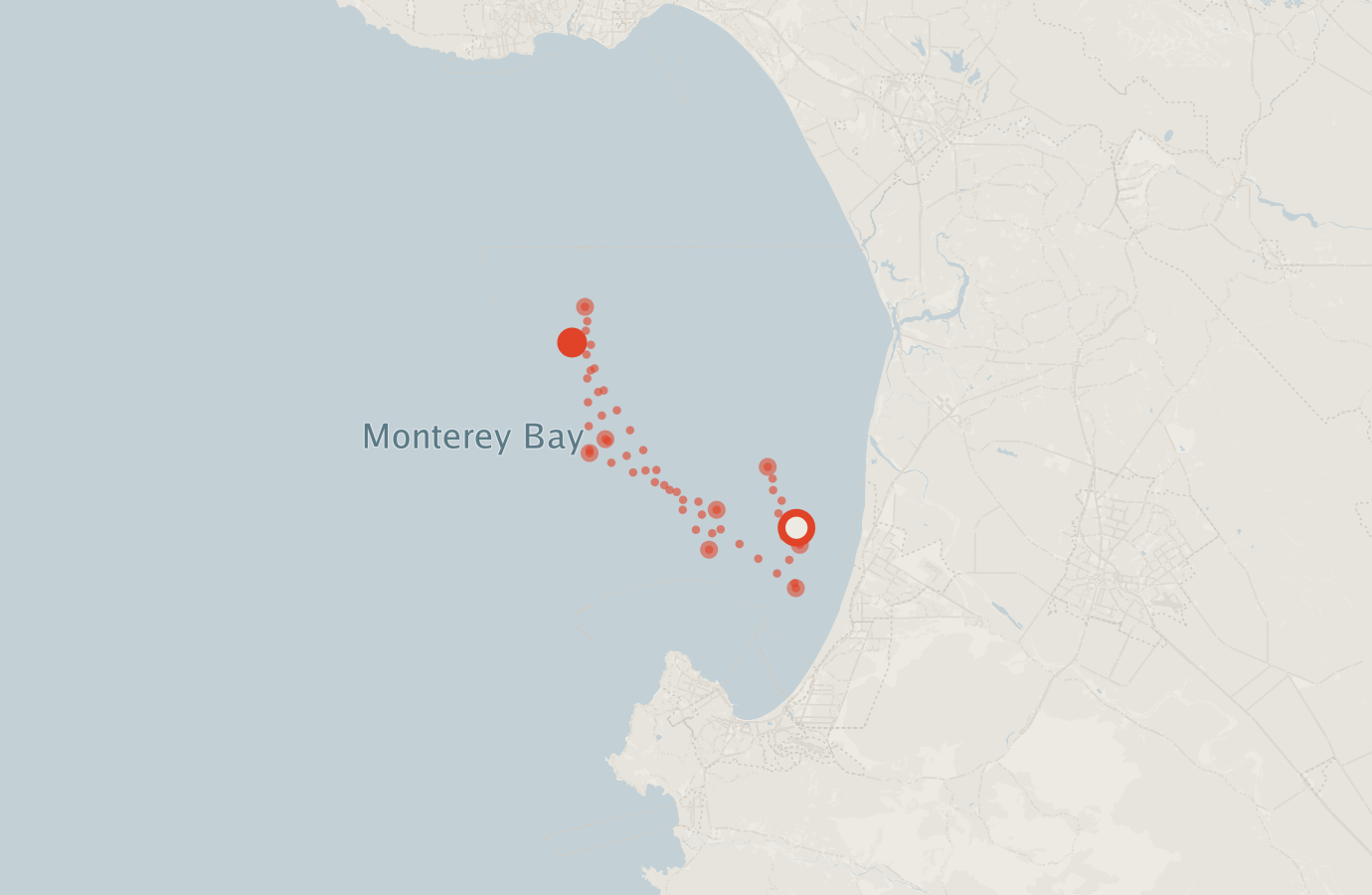Activity map — real sighting points on an OpenStreetMap basemap