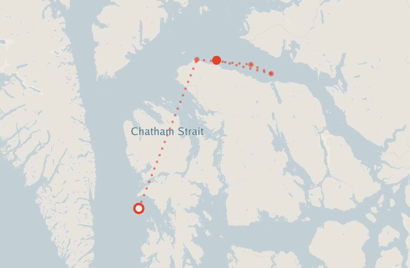 Activity map — real sighting points on an OpenStreetMap basemap