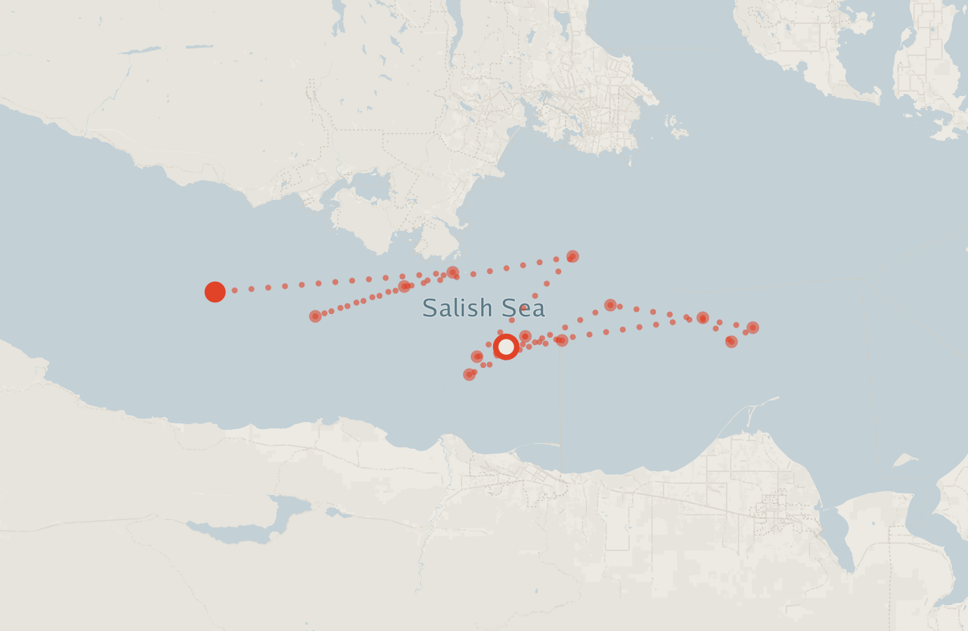 Activity map — real sighting points on an OpenStreetMap basemap