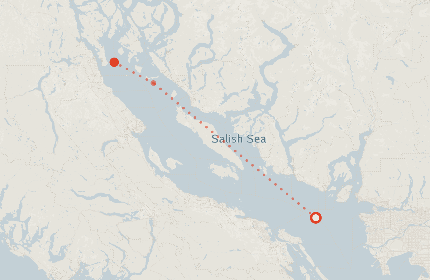 Activity map — real sighting points on an OpenStreetMap basemap