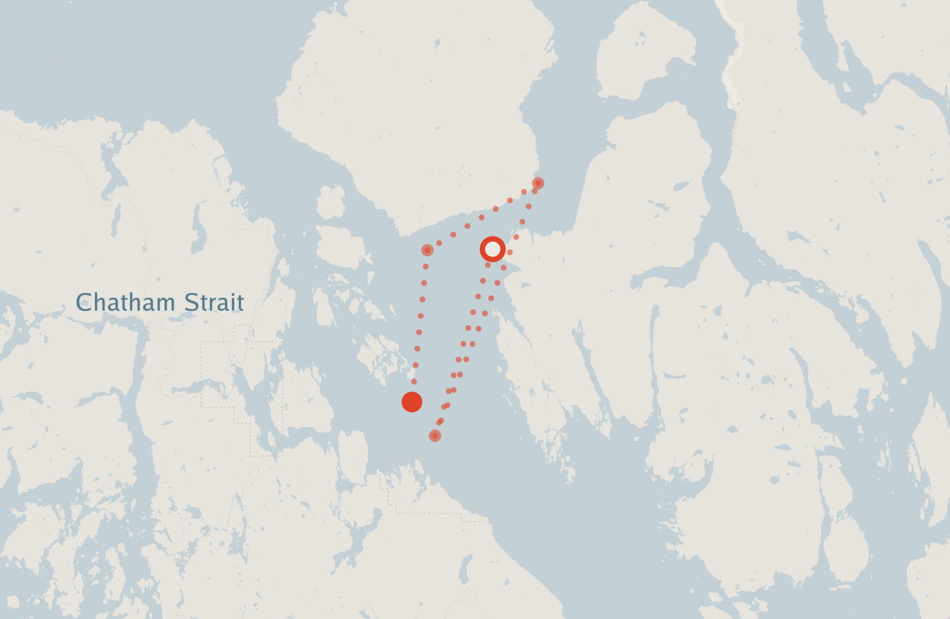 Activity map — real sighting points on an OpenStreetMap basemap
