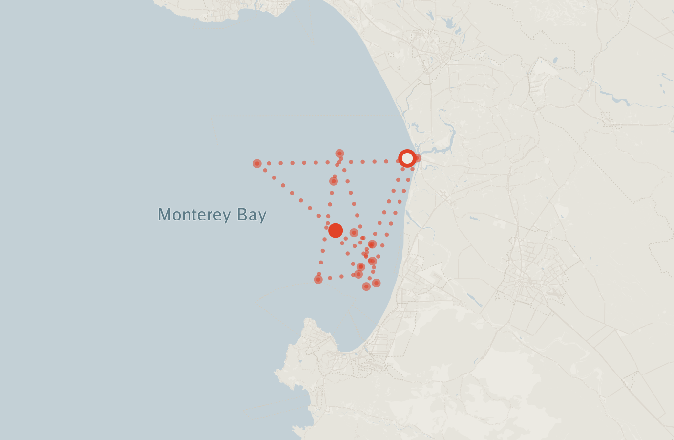 Activity map — real sighting points on an OpenStreetMap basemap