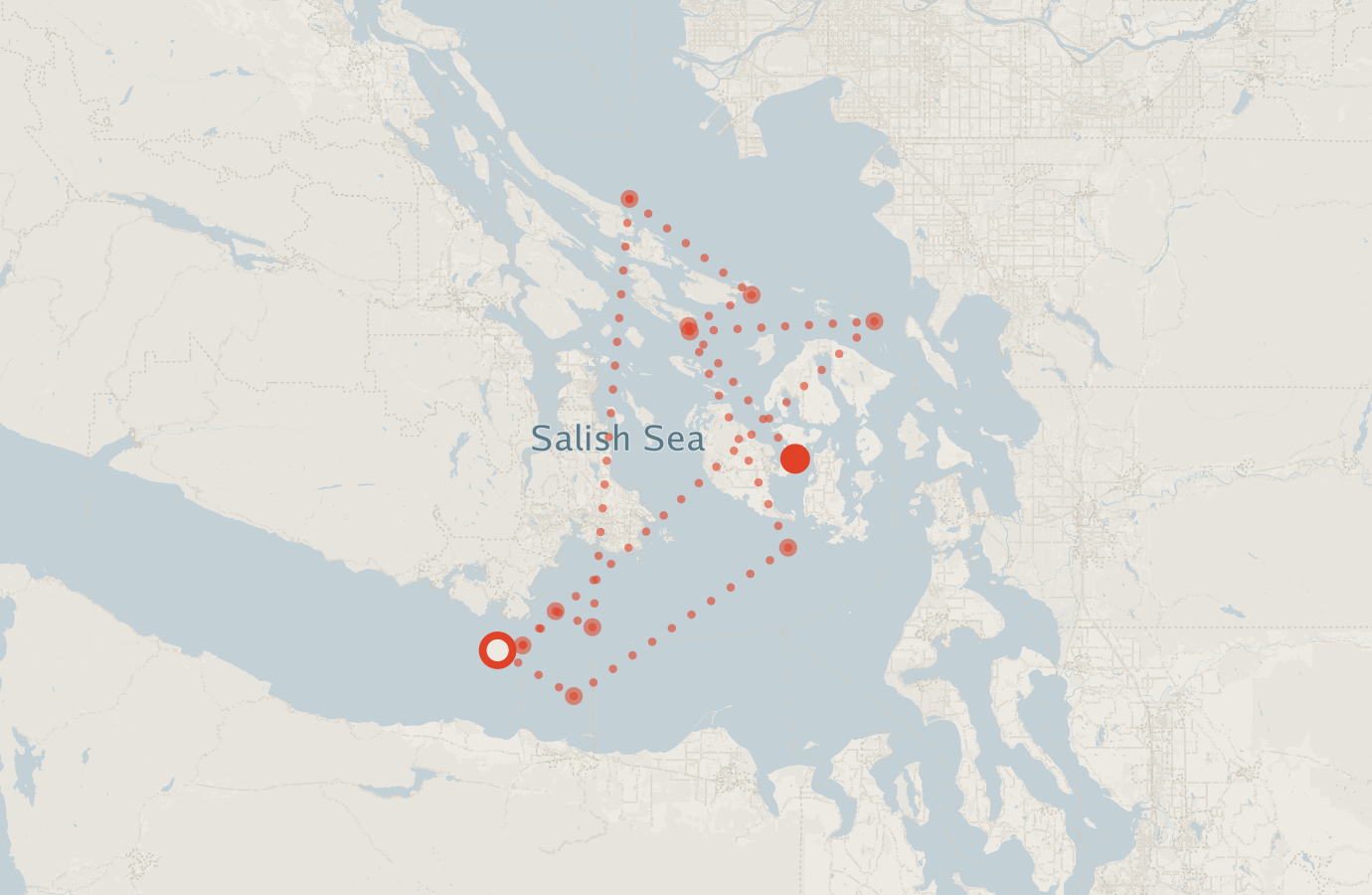 Activity map — real sighting points on an OpenStreetMap basemap