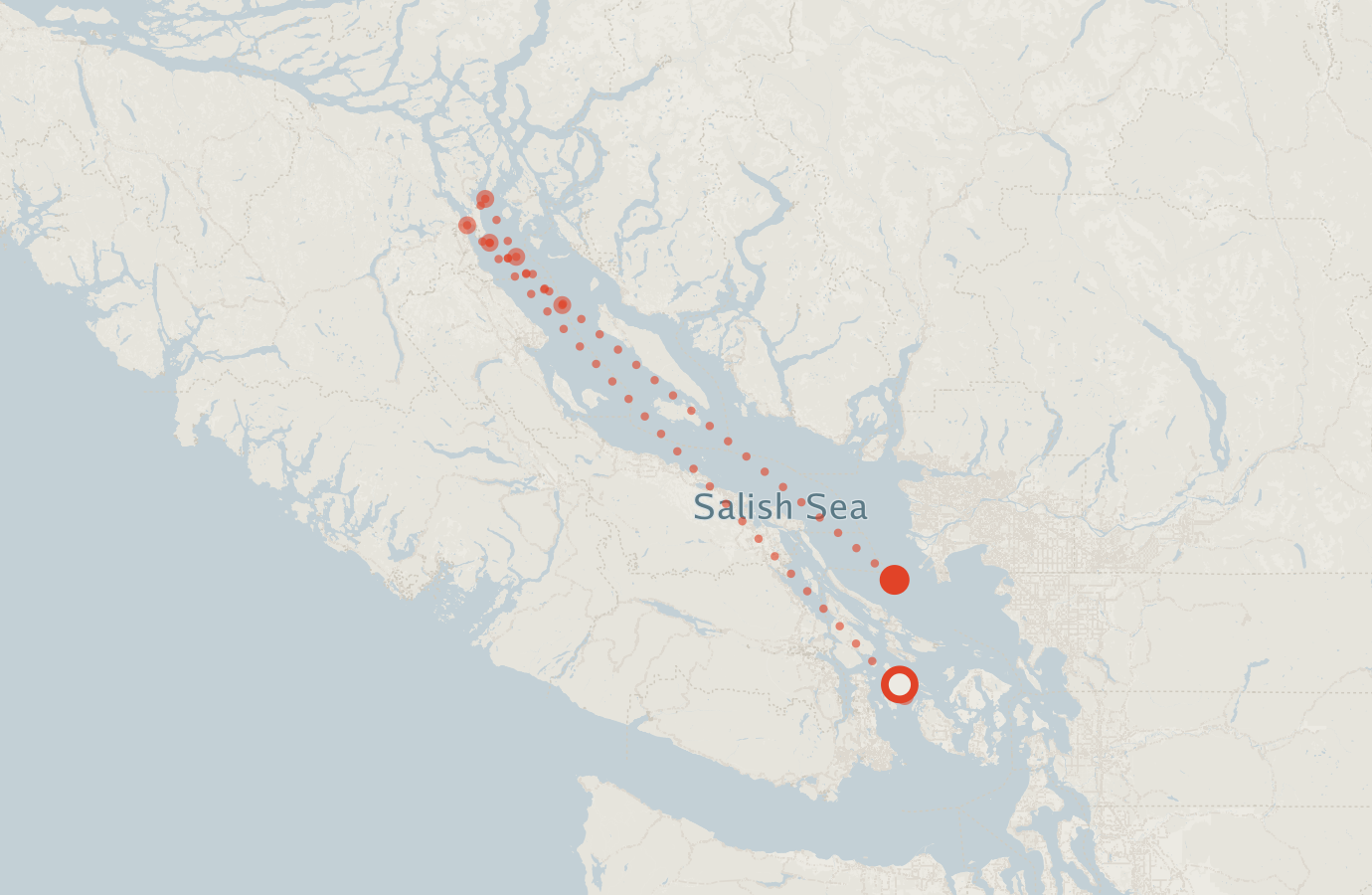 Activity map — real sighting points on an OpenStreetMap basemap