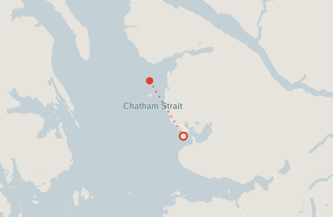 Activity map — real sighting points on an OpenStreetMap basemap