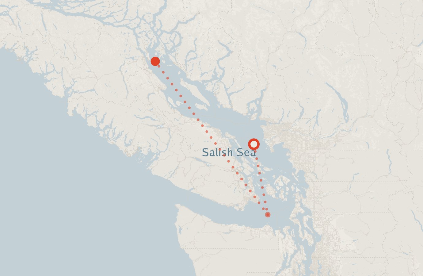 Activity map — real sighting points on an OpenStreetMap basemap