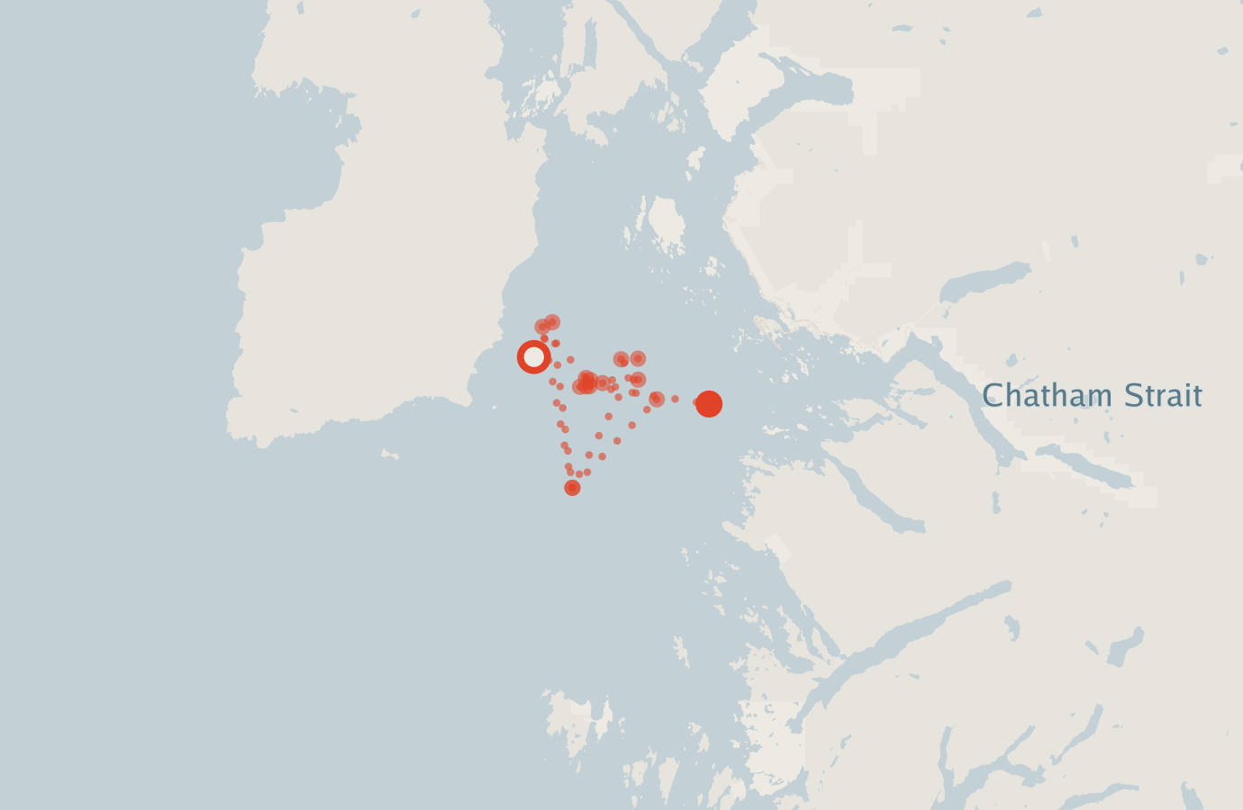 Activity map — real sighting points on an OpenStreetMap basemap