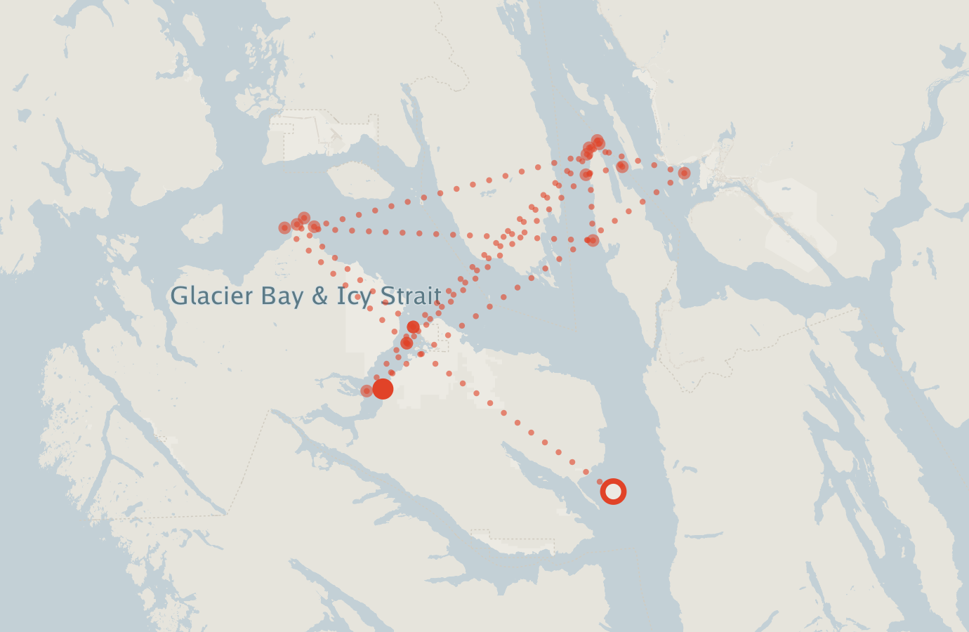 Activity map — real sighting points on an OpenStreetMap basemap
