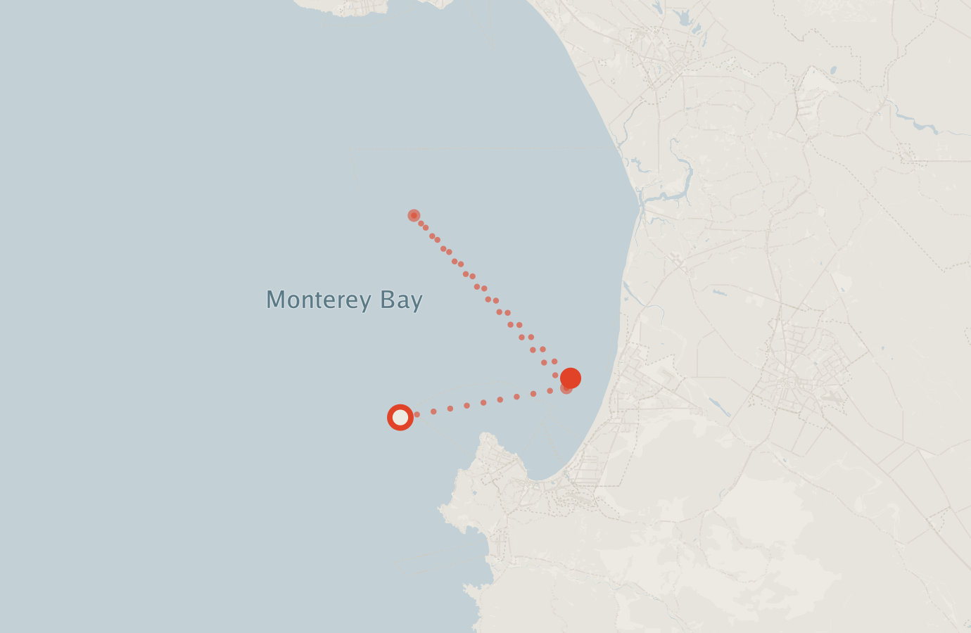 Activity map — real sighting points on an OpenStreetMap basemap