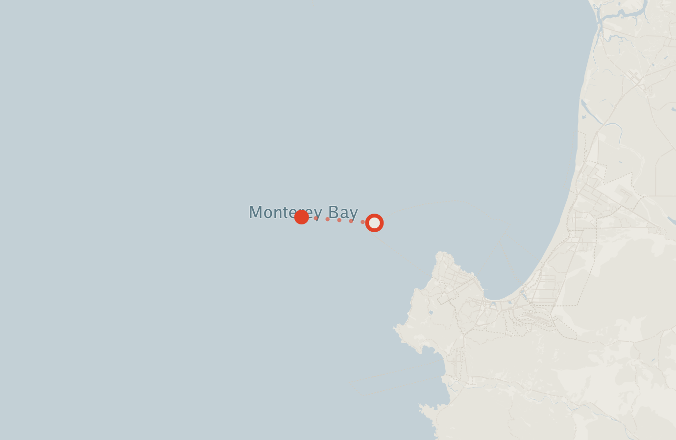 Activity map — real sighting points on an OpenStreetMap basemap