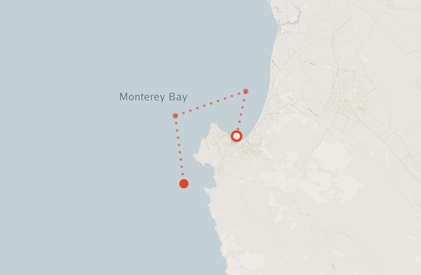 Activity map — real sighting points on an OpenStreetMap basemap