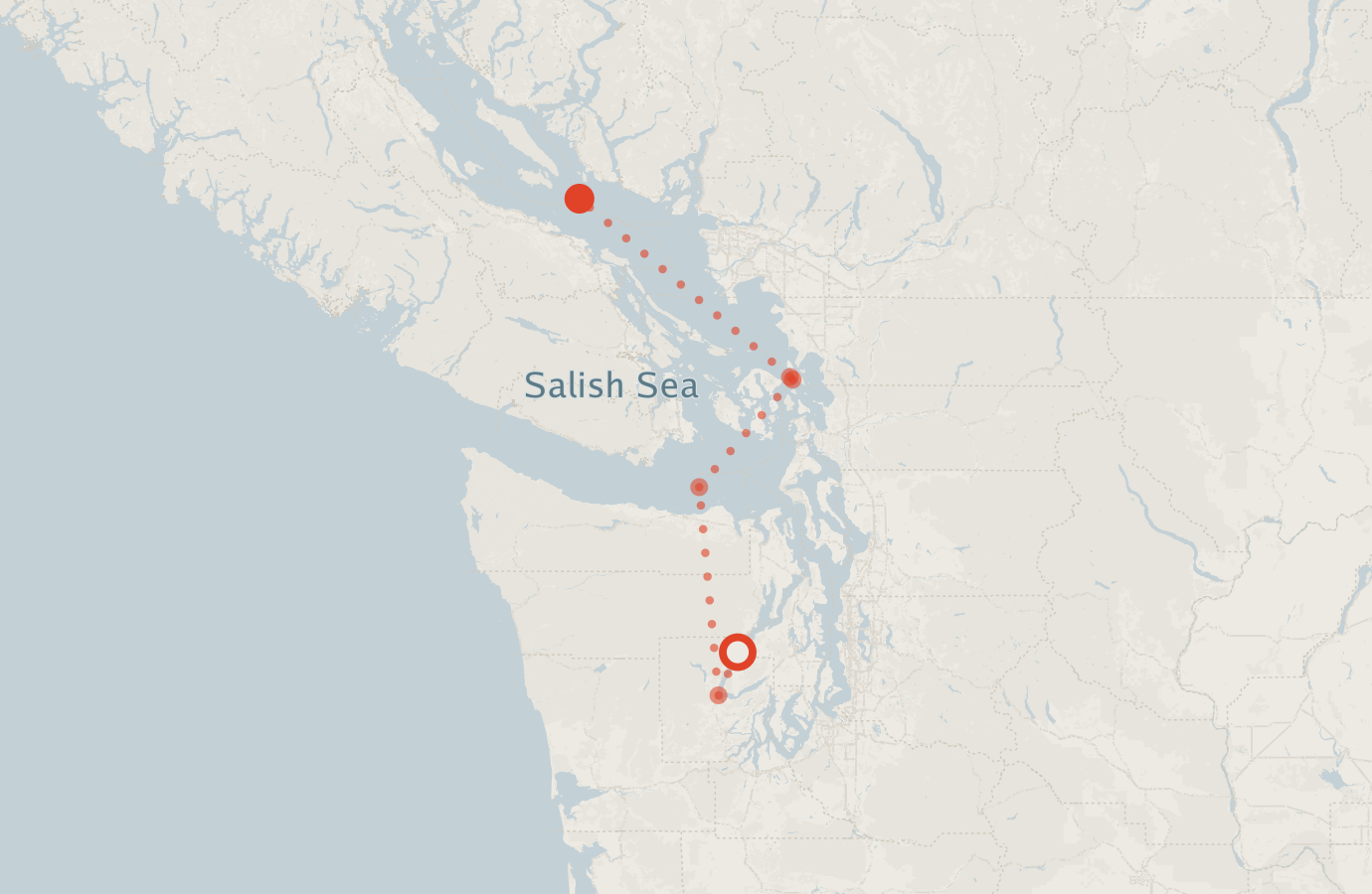 Activity map — real sighting points on an OpenStreetMap basemap