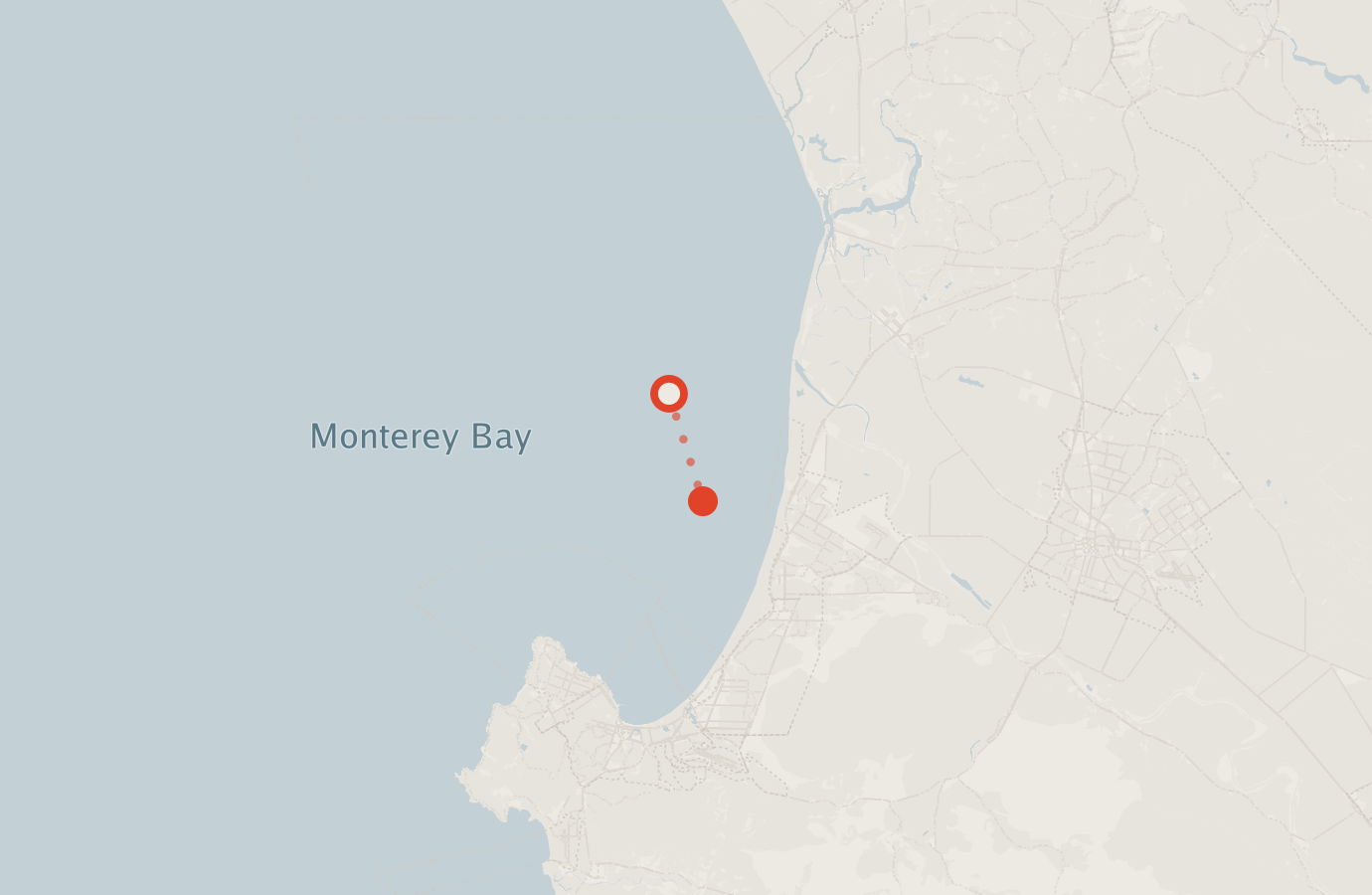 Activity map — real sighting points on an OpenStreetMap basemap