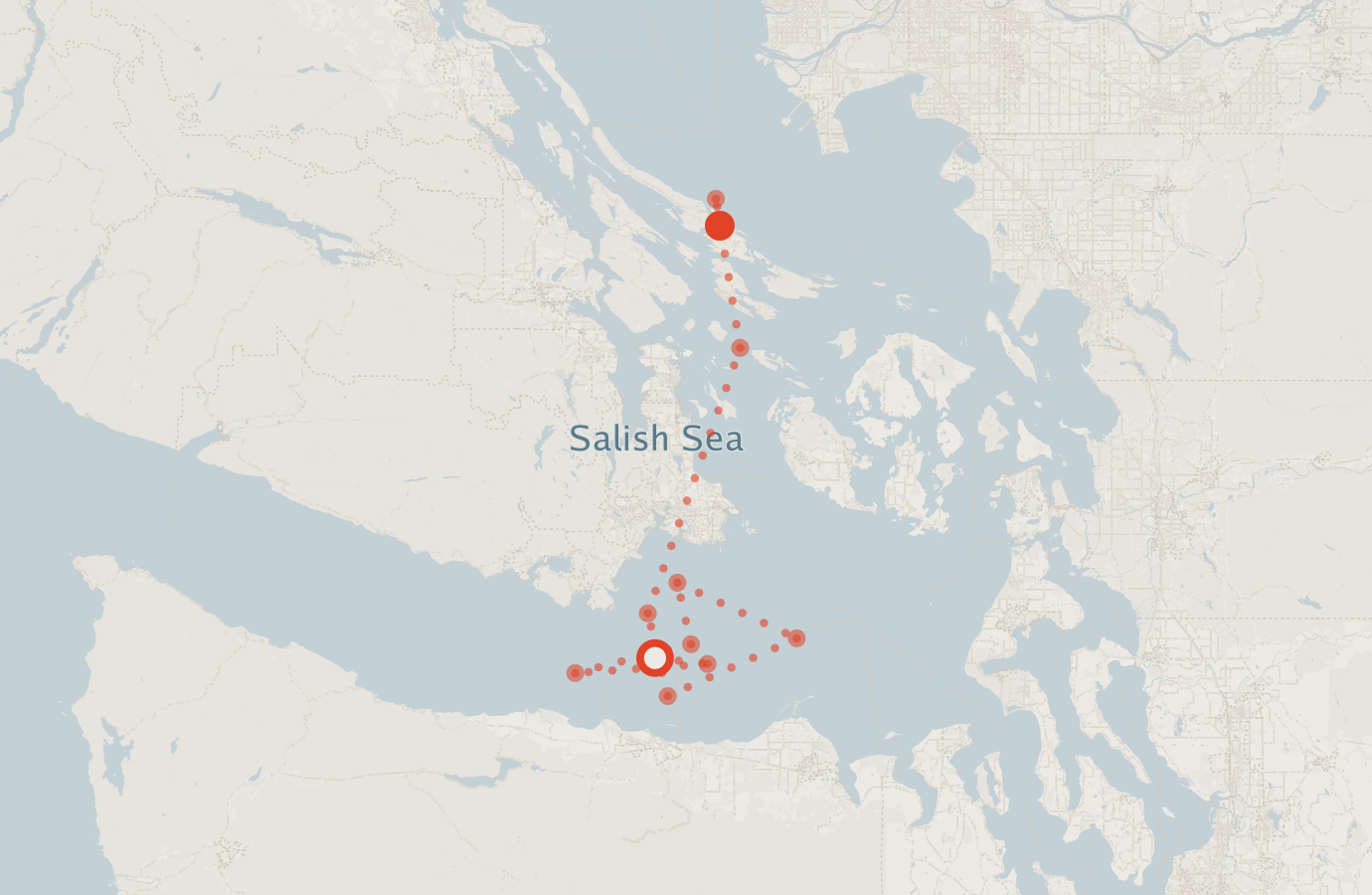 Activity map — real sighting points on an OpenStreetMap basemap