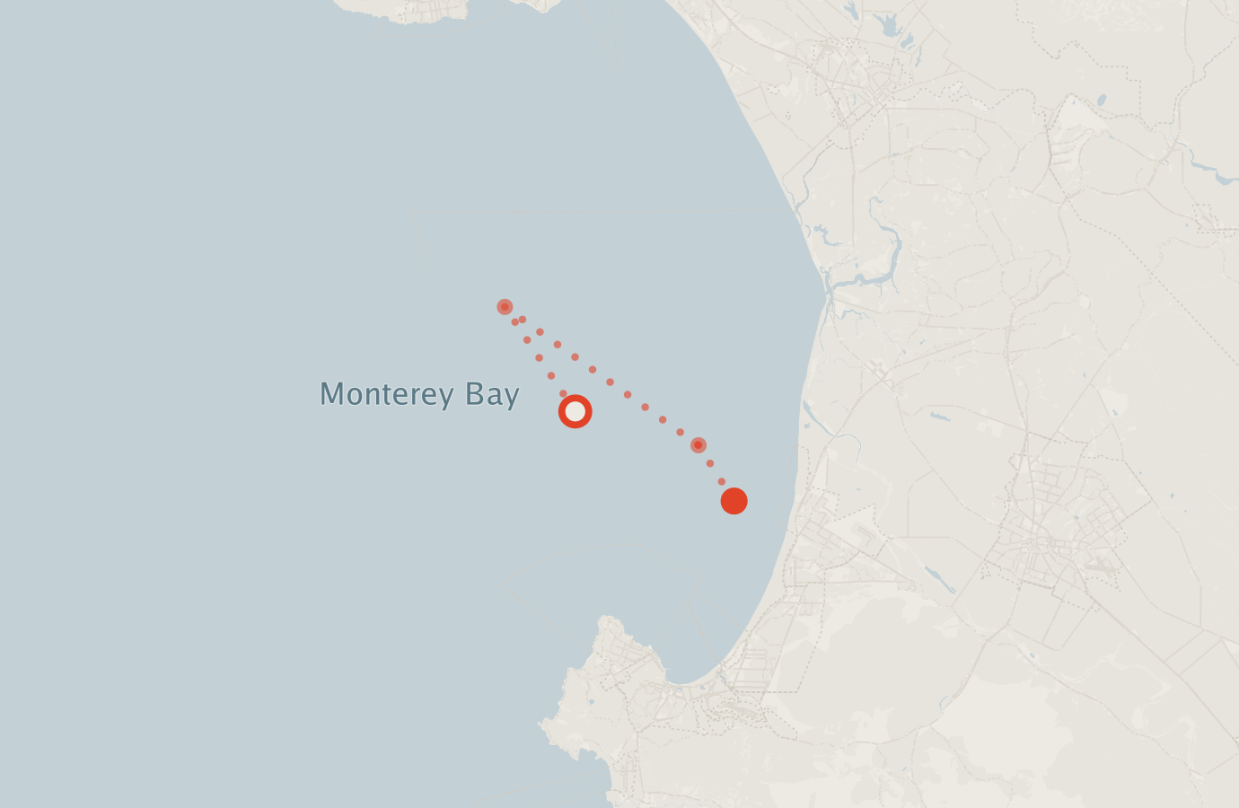 Activity map — real sighting points on an OpenStreetMap basemap